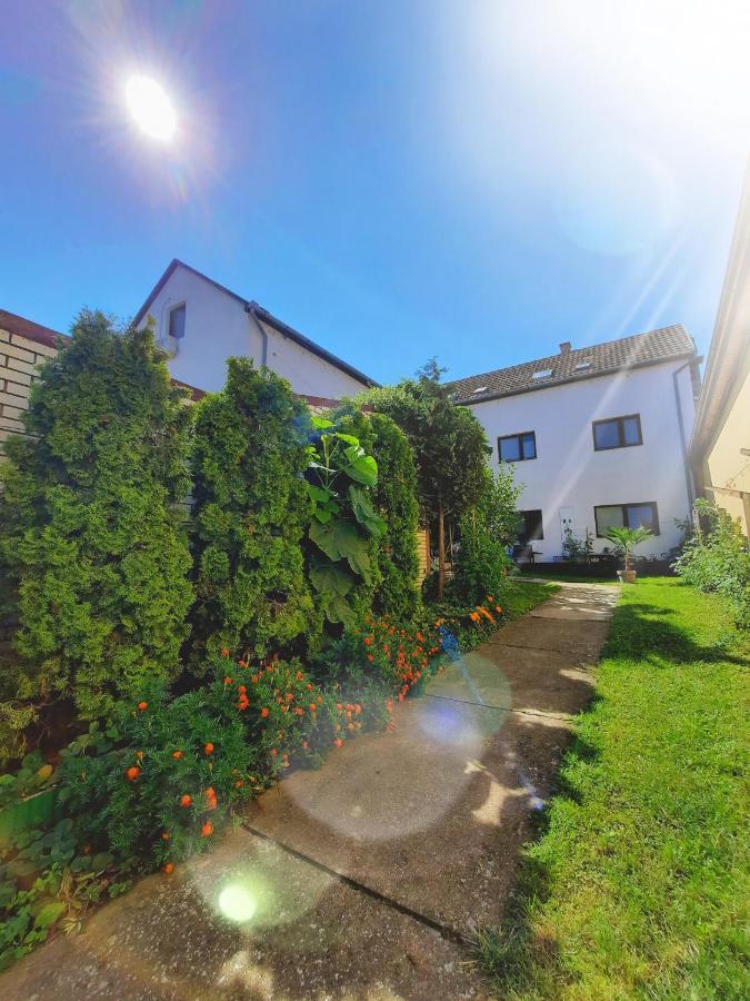 Apartmani Sunflower Sremski Karlovci Luaran gambar