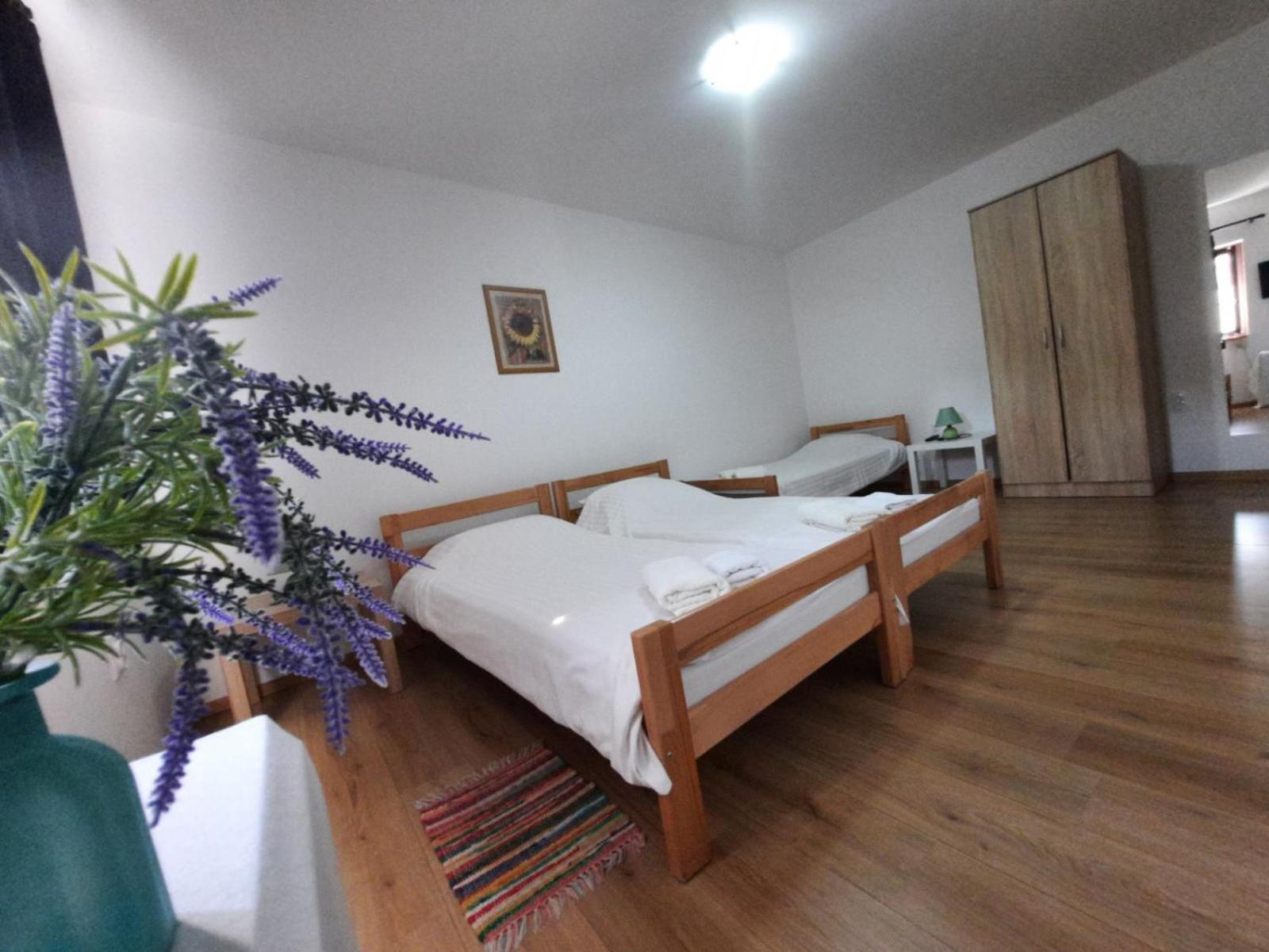 Apartmani Sunflower Sremski Karlovci Bilik gambar